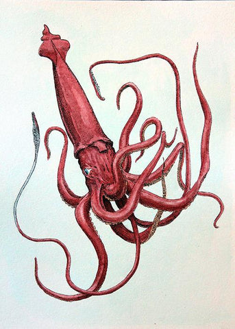 Hand-Painted Cephalopod Print – Vintage Red Squid Art