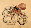 Hand-Drawn Octopus Print – Vintage Marine Life Illustration | Nautical Wall Art