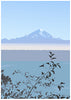 Mount Rainer Art Print